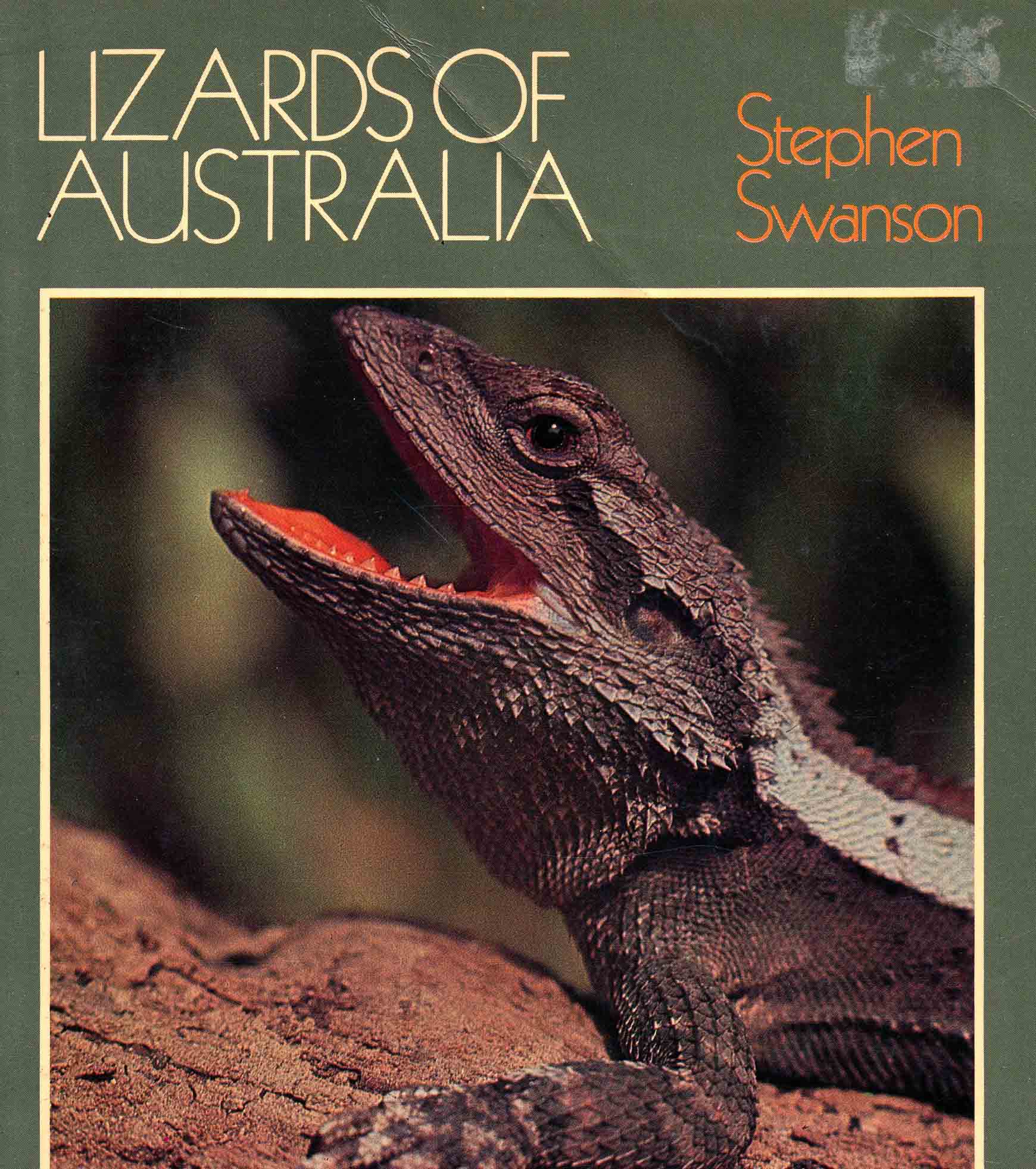 Image for Lizards of Australia,